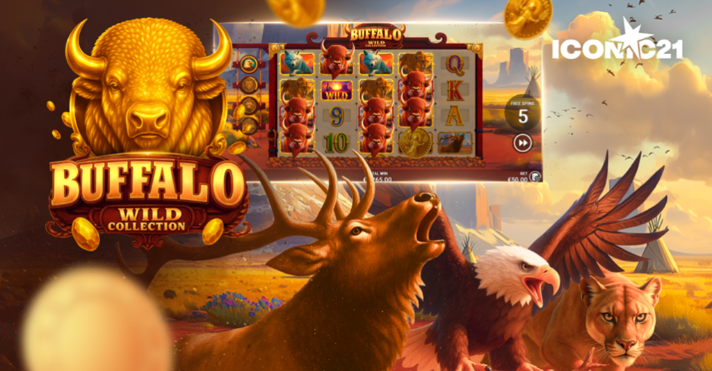  Buffalo Wild Collection от ICONIC21, Wild-символы и бонусы — новый слот для игроков и операторов.