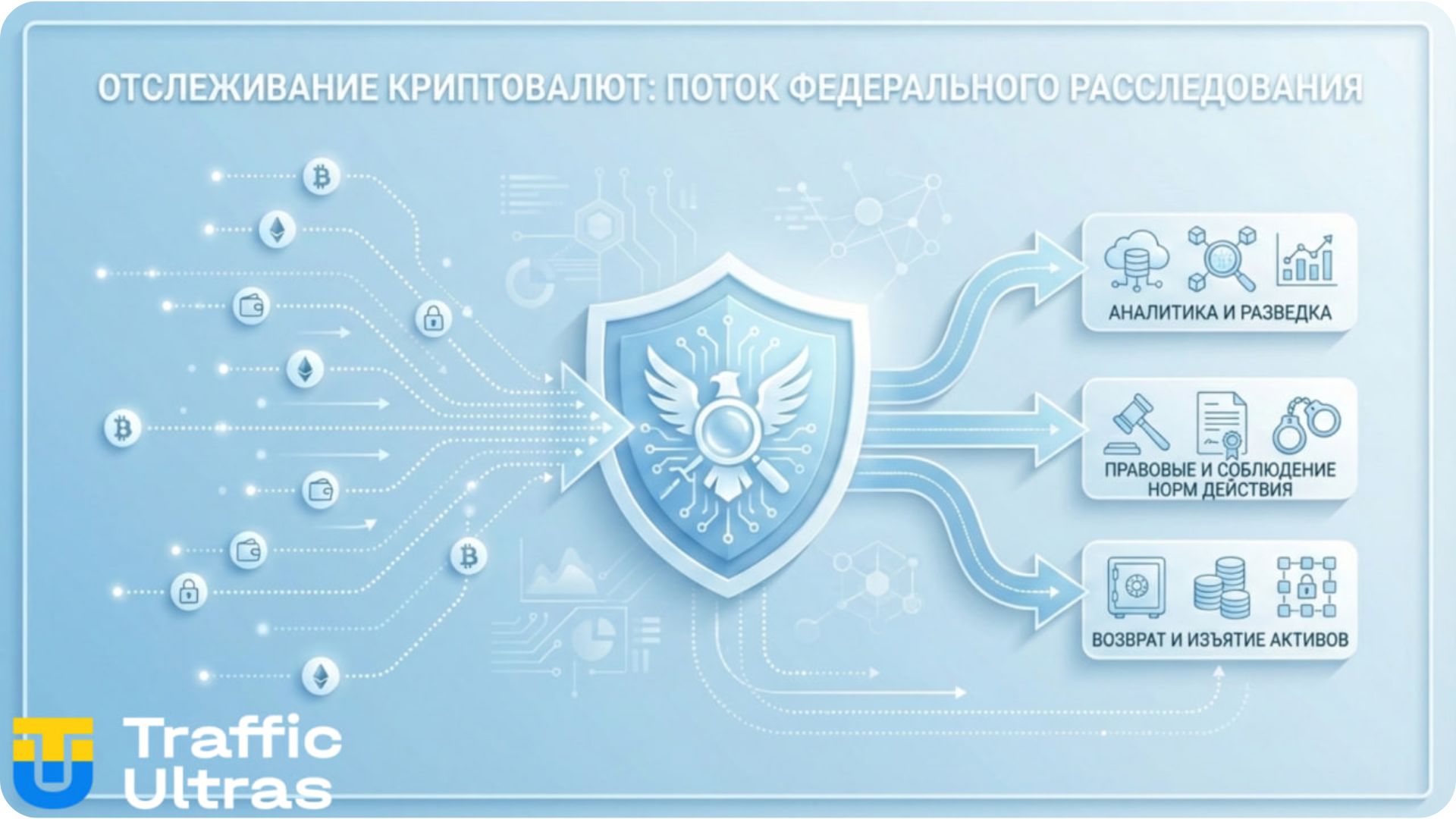 Отслеживание транзакций и цифровая идентификация создателя OnlyFake.